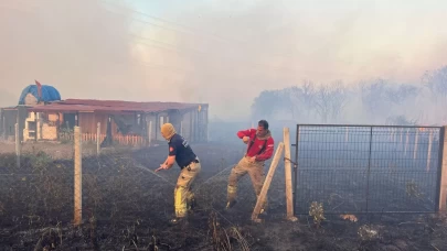 Silivri'deki orman yangını mangaldan çıktı: 1 kişi gözaltına alındı