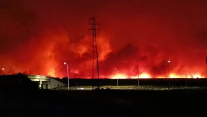 Tekirdağ'da orman yangını geceyi gündüze çevirdi