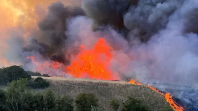 Tekirdağ'da orman yangını: Müdahale sürüyor