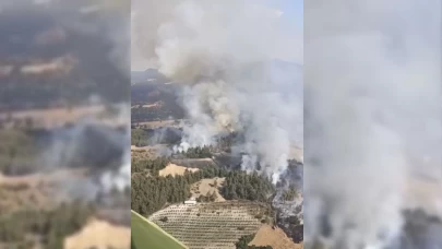 Balıkesir'de orman yangını!