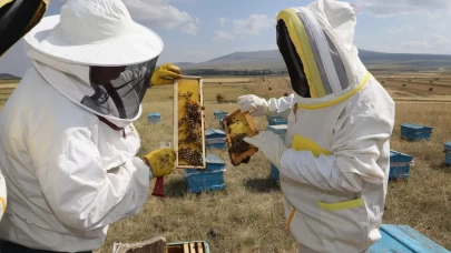 Kars’ta bal bereketi