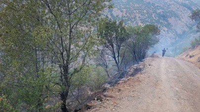 Ahır ve samanlıkta çıkan yangın ormanlık alana sıçradı, müdahale sürüyor