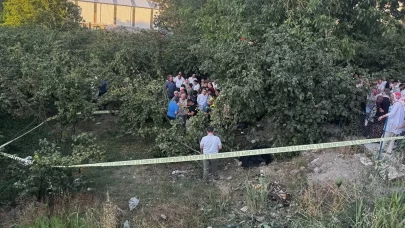 Zonguldak'ta kamyonet fındık bahçesine uçtu: Araçtan fırlayan sürücü öldü