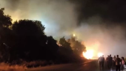 Hakkari-Çukurca karayolu üzerinde orman yangını çıktı