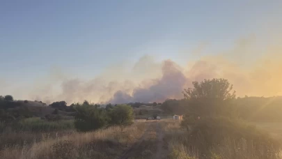 Tekirdağ'da çıkan yangında 20 dekar ağaçlık alan zarar gördü