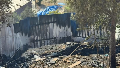 Kağıthane'de ağaçlık alanda çıkan yangın söndürüldü