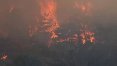İzmir Urla’da alevler yükseliyor! Bölgeye hava ve kara gücü sevk edildi