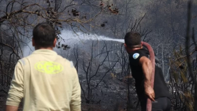 Sakarya-Bilecik sınırında alevler yeniden yükseldi