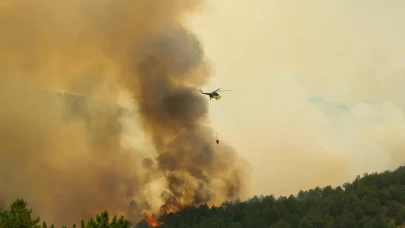Uşak'ta orman yangını