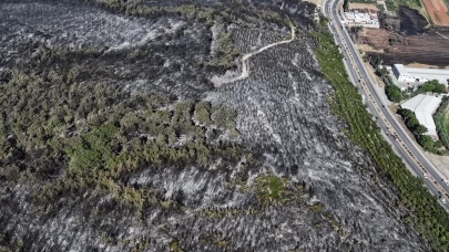 İzmir'in Buca ilçesindeki orman yangınında zarar gören alanlar havadan görüntülendi