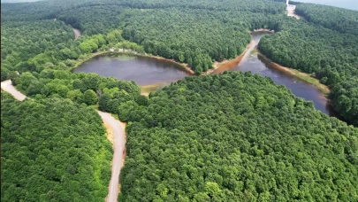 Yalova'da ormanlara girişler yasaklandı