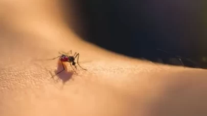 Sivrisineklerden doğal korunma yolları!