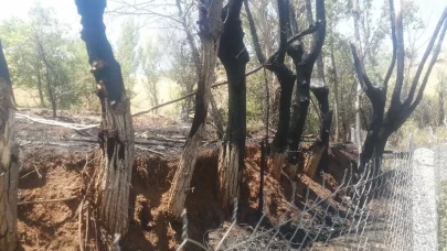 Hobi bahçesinde çıkan yangın 8 dönüm yulaf tarlasını küle çevirdi