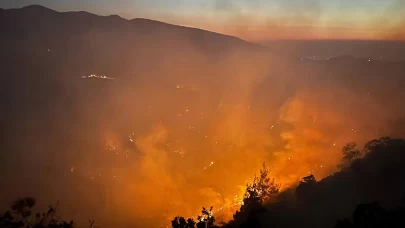 Uşak'ta 21 ev ve 1 çiftlik boşaltıldı