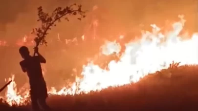 Hakkari-Van il sınırında yangın