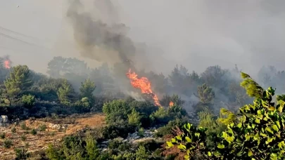Mersin'de orman yangını!