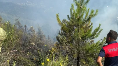 Sinop’ta makilik alanda yangın! Ekipler ve köylüler seferber oldu