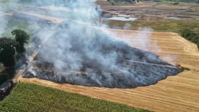 Bursa'da çıkan anız yangını söndürüldü