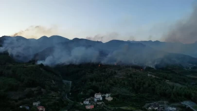 Hatay'daki yangına müdahale sürüyor