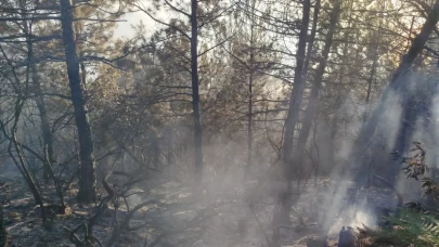 Zonguldak’ta çıkan yangında 7 dönümlük karaçam ormanı zarar gördü