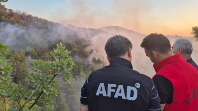 Bolu’daki orman yangını kontrol altına alındı