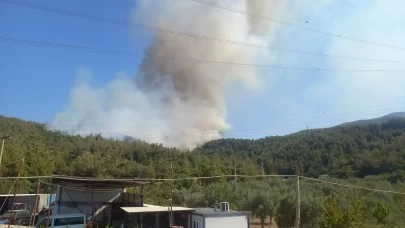 Manisa'da orman yangını çıktı