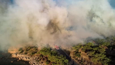 Orman yangınında düğüm çözüldü!