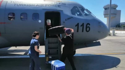 Hava Kuvvetleri'nden umut veren hamle