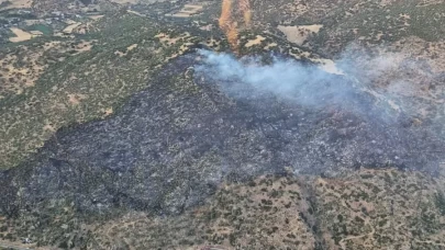 Aydın'da makilik alanda çıkan yangın söndürüldü