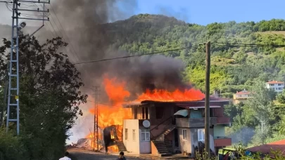 Alevlere teslim olan ev küle döndü: 1 eşek telef oldu
