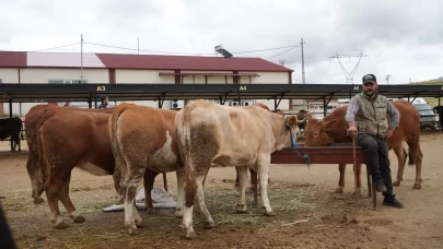 Tarım Bakanlığı'ndan kritik hamle: Tüm hayvan pazarları kapatıldı