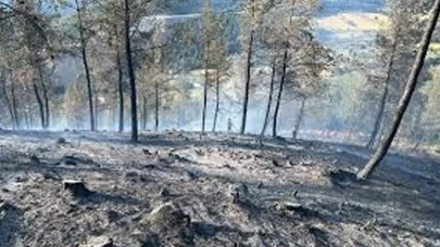 Dursunbey orman yangını kontrol altında