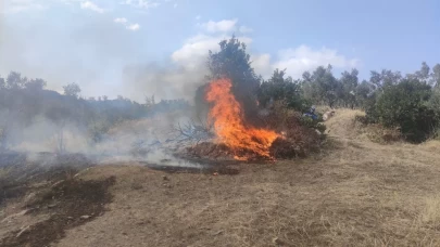 Bursa'da zeytinlikte çıkan yangın söndürüldü
