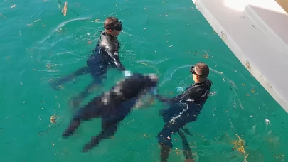 Akülü sandalye ile geldiği iskeleden kendini denize bıraktı