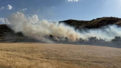 Bitlis'te örtü yangını söndürüldü