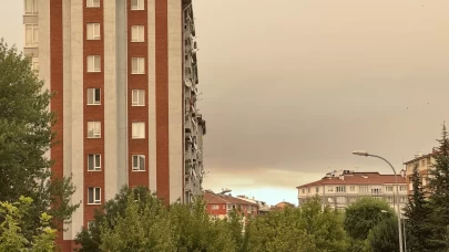 Bilecik'teki orman yangınının dumanı Eskişehir'e ulaştı