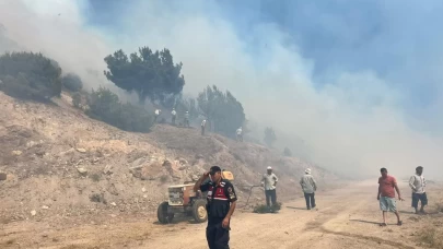 Manisa'daki orman yangını kontrol altına alındı
