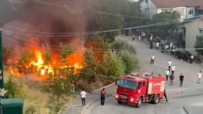 Tokat’ta arı kovanları küle döndü