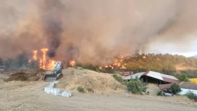 Bilecik'teki orman yangınında alevler Kazancı köyüne ulaştı