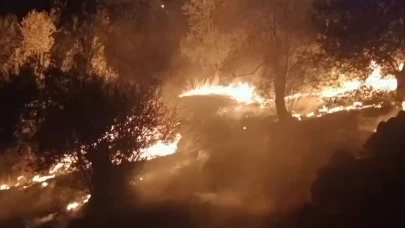 Ekipler müdahale ediyor: Zeytinlik alanda yangın çıktı