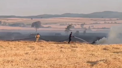 Malkara’da anız yangını: 200 dönüm buğday tarlası kül oldu