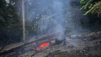 Gümüşhane’deki orman yangını söndürüldü