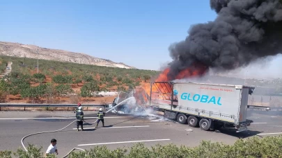 Park halindeki tıra çarpan tır alev topuna döndü