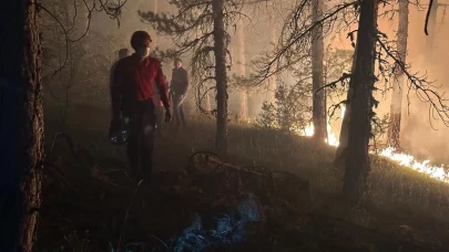 Çankırı'daki orman yangınına müdahale 4 saattir sürüyor