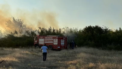 Düzce'de çıkan örtü yangını itfaiye ve vatandaş işbirliğiyle söndürüldü