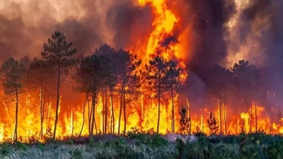 Bakan Yumaklı'dan "orman yangını" uyarısı