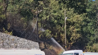Zonguldak'ta çıkan örtü yangını kontrol altına alındı