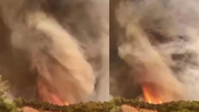 Orman yangınının en çarpıcı görüntüsü: Alevler adeta hortum oluşturdu