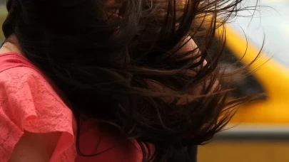 Saç dökülmesine ne iyi gelir? Evde uygulanabilir 5 bitkisel yöntem