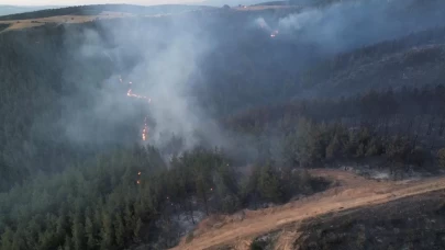 Balıkesir'de çıkan orman yangını kontrol altında